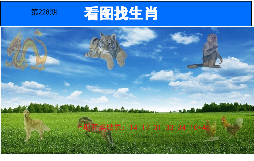 看图找生肖
