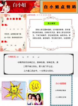 白姐点特码 228期