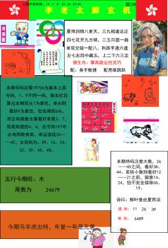 李老太解玄机 228期