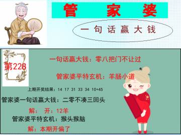 管家婆 228期