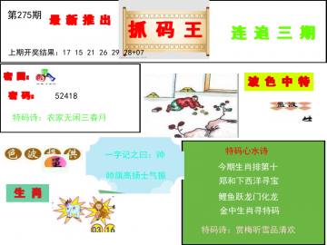 抓码王 275期