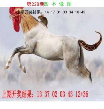 四不像中特 228期