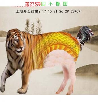 四不像中特 275期