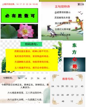 东方心经 228期