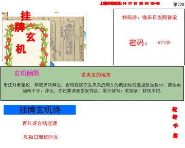 挂牌玄机图 228期