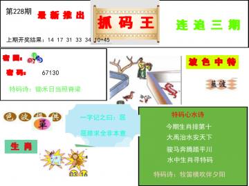 抓码王 228期