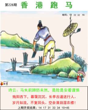 跑马图 228期