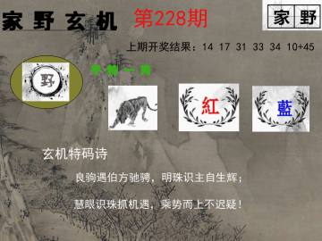 家野玄机 228期