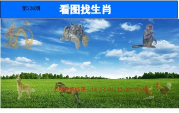 看图找生肖 228期