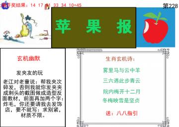 苹果报 228期